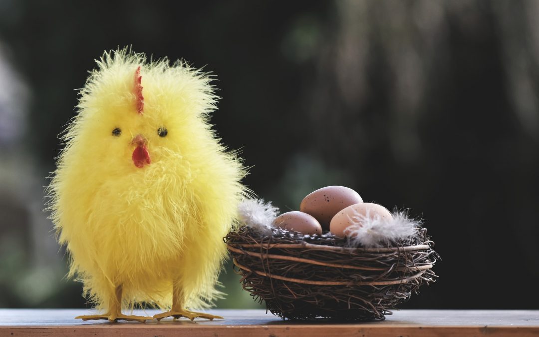 Кое е първо – кокошката или яйцето?